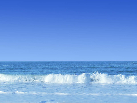 海洋