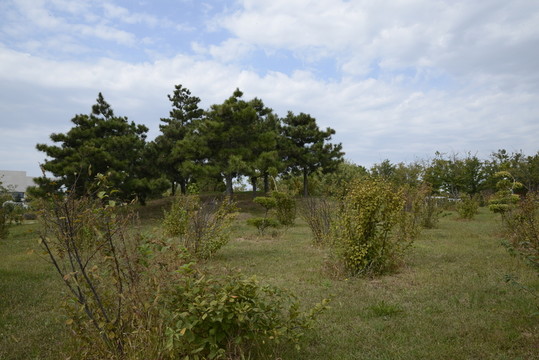 錦州世博園