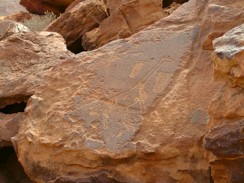 petrogliph