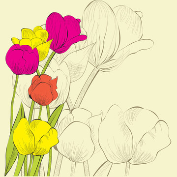 裝飾背景與郁金香花