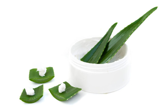 蘆薈葉和奶油