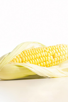 關(guān)閉的鮮食玉米