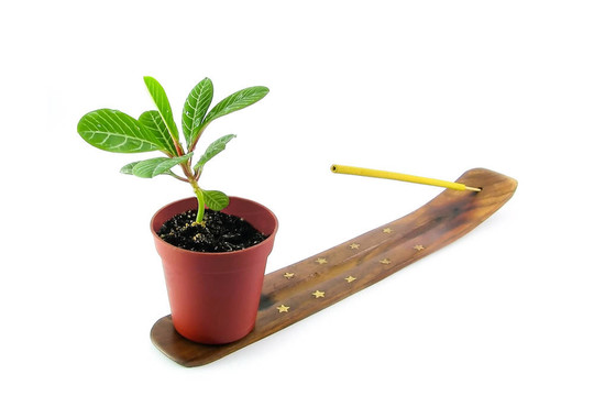 在白色背景上的微型的保持架和手掌中的香香棒