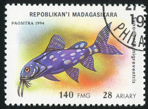 魚(yú)