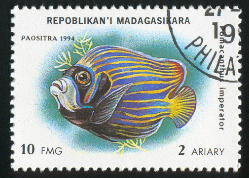 魚