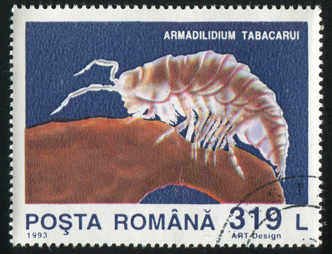 armadilidium tabacarui