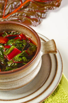飼用甜菜湯