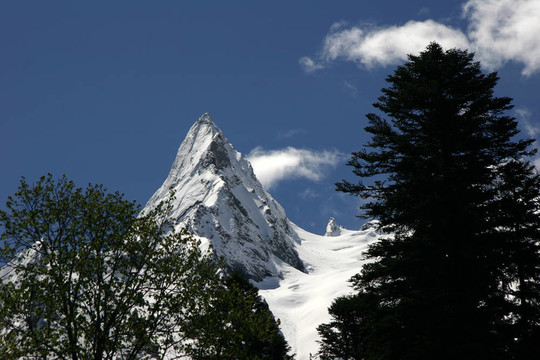 貝拉米夏季山峰