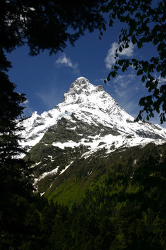 貝拉米夏季山峰