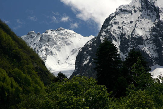 貝拉米夏季山峰