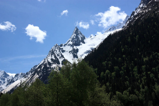 貝拉米夏季山峰
