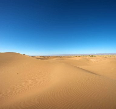 雄偉的沙丘景觀