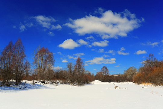 雪原紅柳風(fēng)景