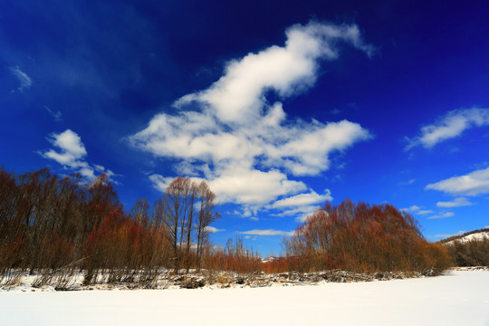 雪原紅柳風(fēng)景