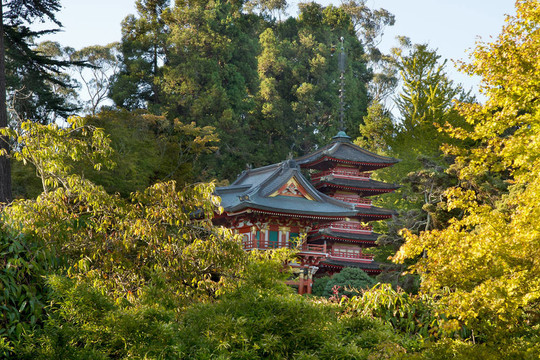 三藩日本花園Pagodas