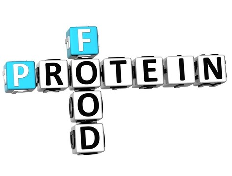 3D蛋白食物填字