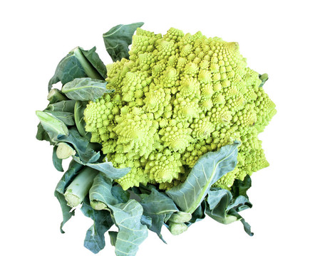 寶塔花菜