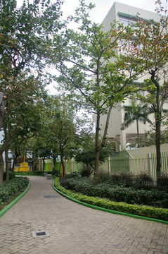 公園里的小路