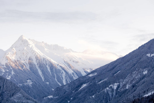 山