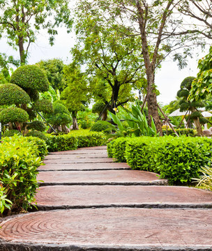 在公園里散步