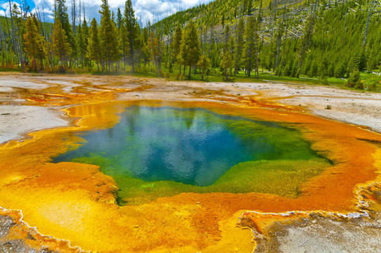 美麗的Green Geyser