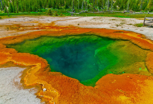 美麗的Green Geyser