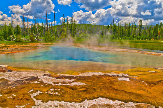 美麗的Green Geyser