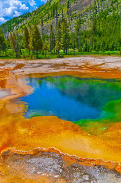 美麗的Green Geyser