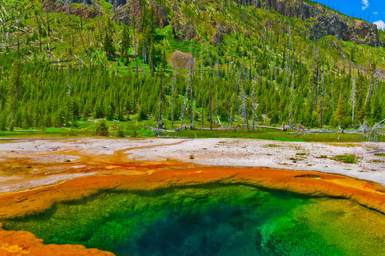 美麗的Green Geyser
