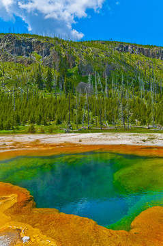 美麗的Green Geyser