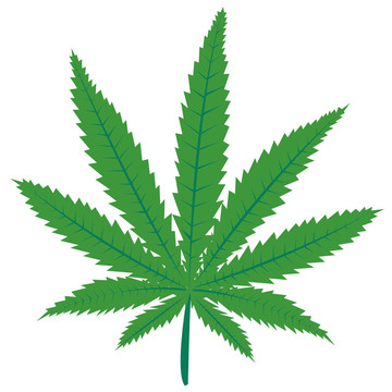 大麻葉