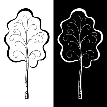 白樺；象形文字；黑色和白色