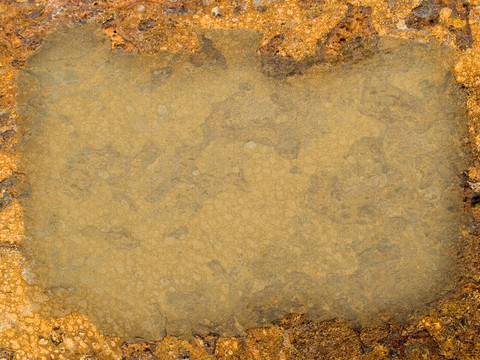 texture01