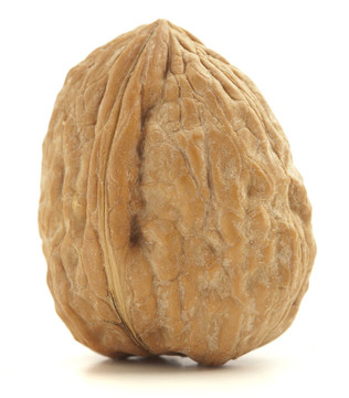 板栗