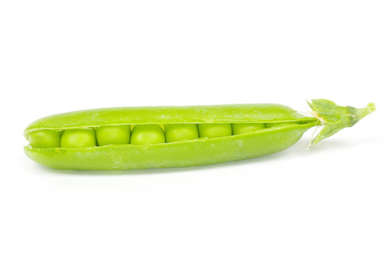 豌豆