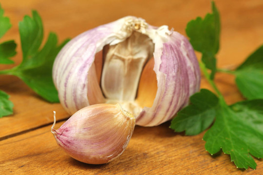 新鮮大蒜和香菜