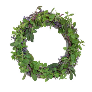 草本植物，葉花環(huán)