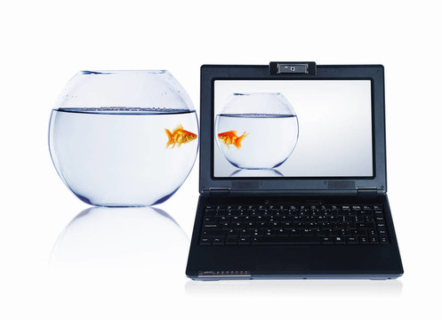 筆記本屏幕上的金魚