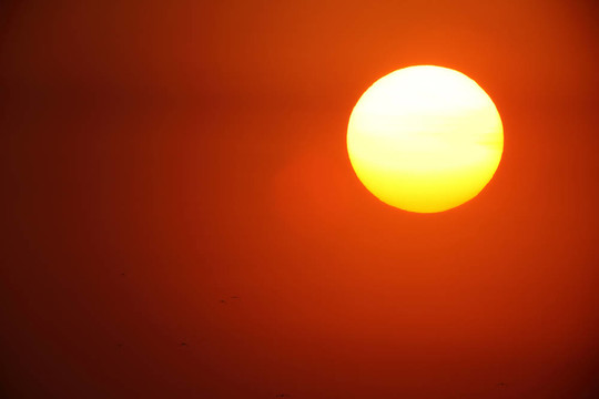 大太陽