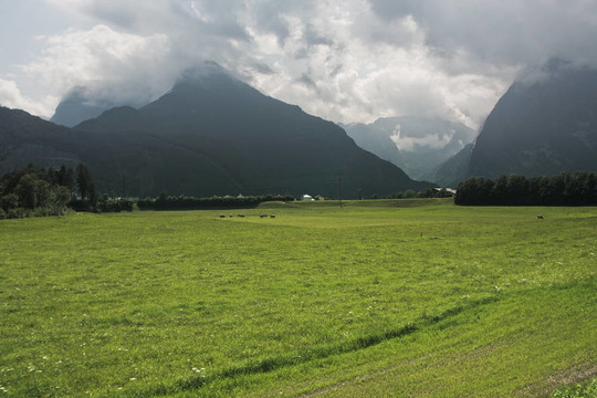綠草山