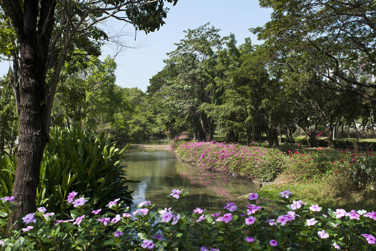 國家公園的花草樹木有著清澈的天空。