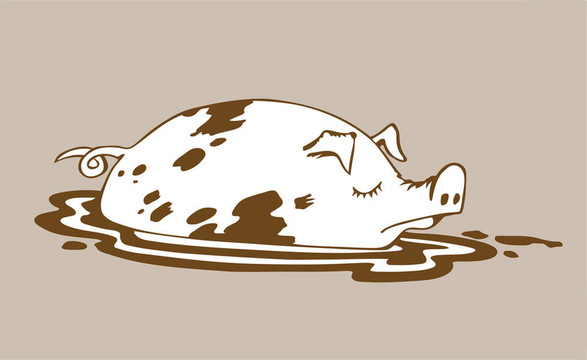 褐色背景豬畫；插畫