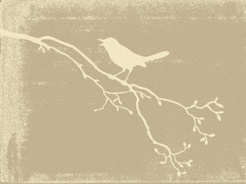 老紙上的鳥剪影；插圖