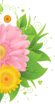 摘要花