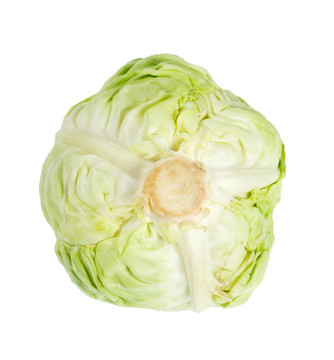白菜