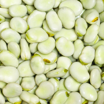 許多蠶豆豆