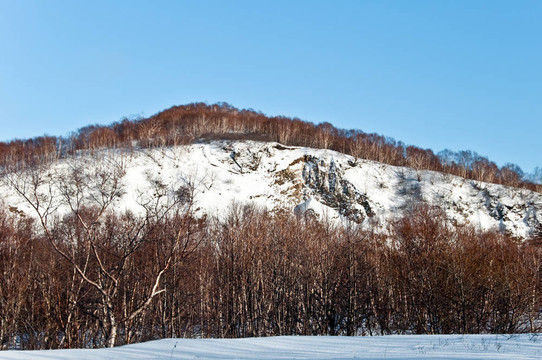 Hill在雪中