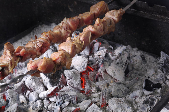 烹調(diào)肉類燒烤