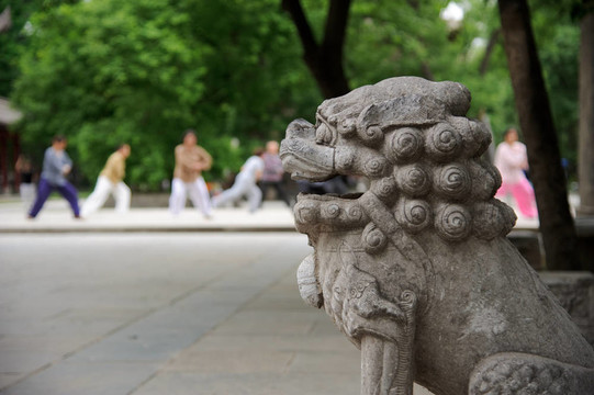 中國獅雕像與人們練習(xí)Tai Chi