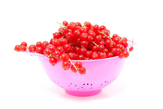 紅醋栗漿果漏勺